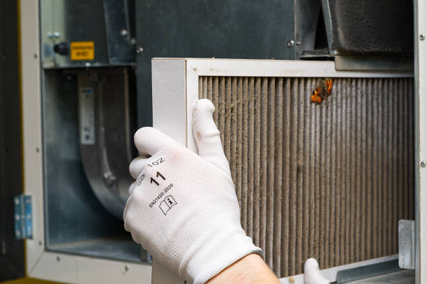 Best Professional Duct Cleaning Services  in Lake City, IA