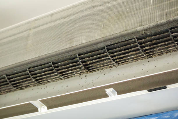 Best Best Air Duct Cleaning Company  in Lake City, IA