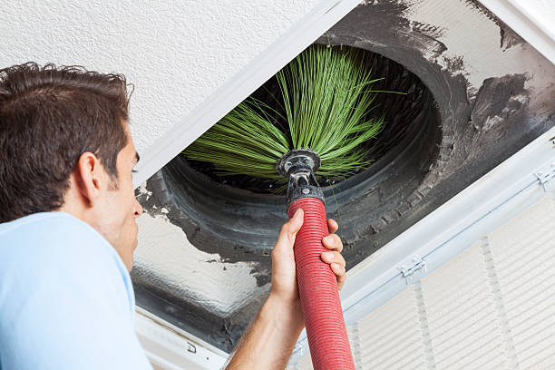 Best Affordable Duct Cleaning Services  in Lake City, IA